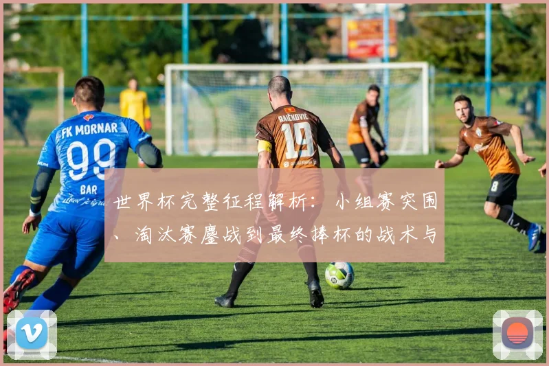 世界杯完整征程解析：小组赛突围、淘汰赛鏖战到最终捧杯的战术与策略